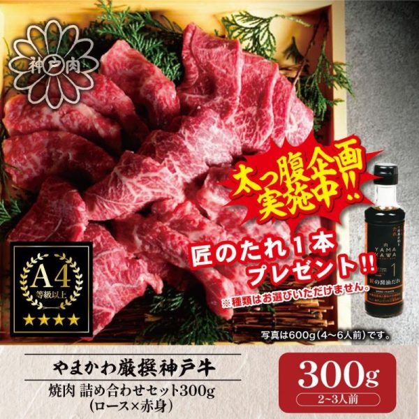 [神戶牛肉] 烤肉什錦套餐 (裡肌肉 x 紅肉) 300g (2-3人份)